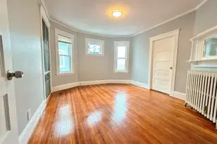 18 Harold Park, Boston, MA 02119 - Photo 18