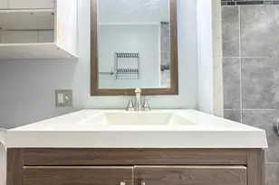 18 Harold Park, Boston, MA 02119 - Photo 30