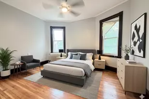 18 Harold Park, Boston, MA 02119 - Photo 8