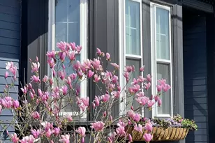 198 Byron St, Boston, MA 02128 - Photo 20