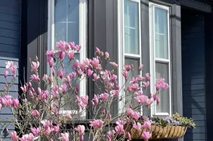 198 Byron St, Boston, MA 02128 - Photo 30