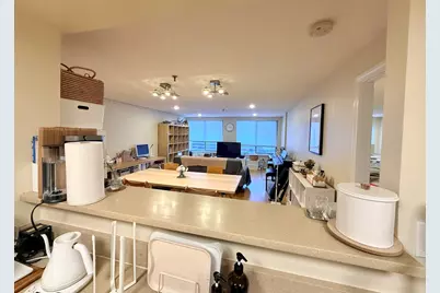 20 Webster St #307, Brookline, MA 02446 - Photo 10