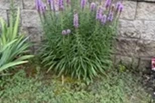 15 Cross St, Chicopee, MA 01013 - Photo 36