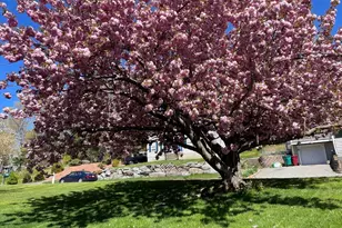 248 Acropolis Rd, Lowell, MA 01854 - Photo 4