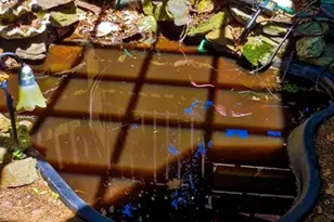 498 Middlesex Turnpike, Billerica, MA 01821 - Photo 18