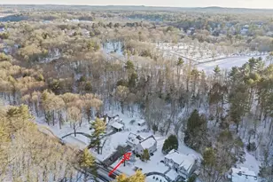 15 Great Plain Ave, Wellesley, MA 02482 - Photo 28