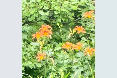 12 Wintergreen Rd, Mashpee, MA 02649 - Photo 38