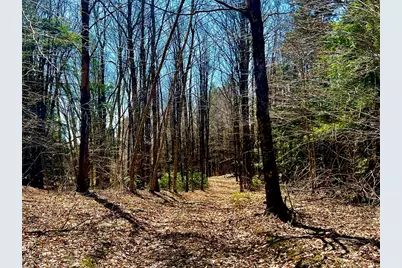 374 Watson Spruce Corner Rd, Ashfield, MA 01330 - Photo 38