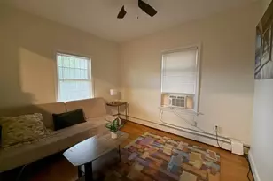 20 Pompeii St, Boston, MA 02119 - Photo 4