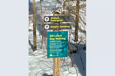 52 Orchard Street, Medfield, MA 02052 - Photo 32