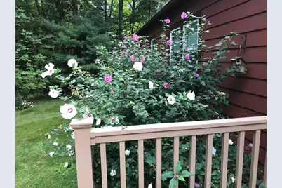 52 Orchard Street, Medfield, MA 02052 - Photo 40