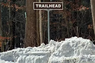 52 Orchard St, Medfield, MA 02052 - Photo 34