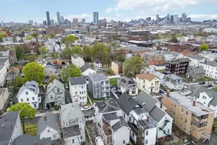 18 Albion St, Boston, MA 02119 - Photo 18