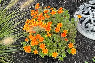 85 Maple Ave, Rutland, MA 01543 - Photo 30