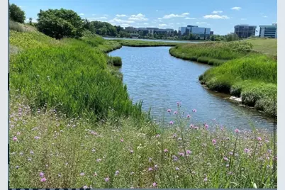 55 Port Norfolk St #3, Boston, MA 02122 - Photo 14