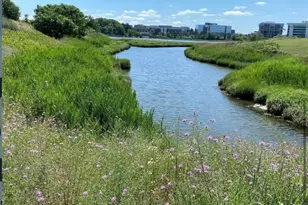 55 Port Norfolk St, Boston, MA 02122 - Photo 14