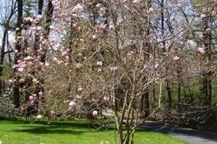 516 Cross St, Carlisle, MA 01741 - Photo 42