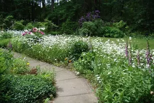 516 Cross St, Carlisle, MA 01741 - Photo 38