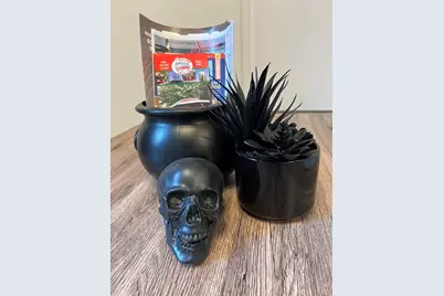 24 Norman #110, Salem, MA 01970 - Photo 8