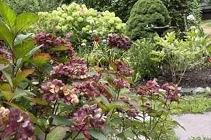 303 Nahant Rd, Nahant, MA 01908 - Photo 36