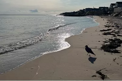 34 Pleasant St #3, Dennis, MA 02660 - Photo 18