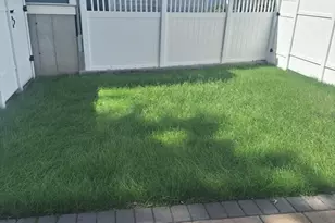 49-51D Coffey St, Boston, MA 02122 - Photo 32