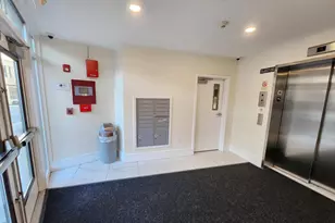 81 Amory St, Boston, MA 02119 - Photo 6