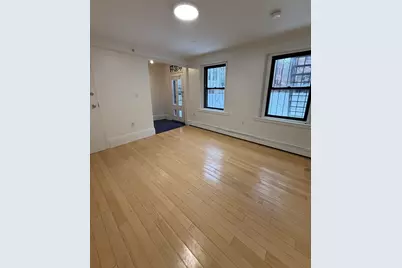 4 Milford St #M-02, Boston, MA 02118 - Photo 2