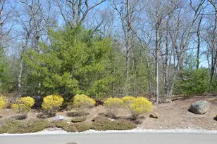 3 Oak View Terrace, Franklin, MA 02038 - Photo 38