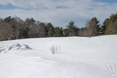 133 Wellesley Street, Weston, MA 02493 - Photo 38