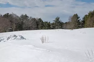 133 Wellesley St, Weston, MA 02493 - Photo 38