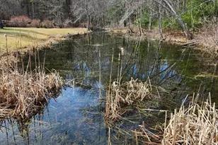 16 Hough Rd, Sutton, MA 01590 - Photo 40