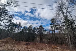 Lot 5 510 Old County Rd, Wales, MA 01081 - Photo 32