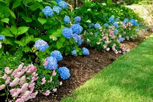 121 Eileen St, Yarmouth, MA 02675 - Photo 38