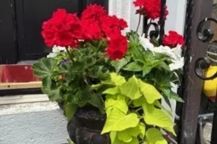 7 Lee St, Marblehead, MA 01945 - Photo 26