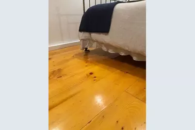 7 Lee Street #1, Marblehead, MA 01945 - Photo 18