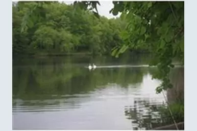 44 Washington Street #417, Brookline, MA 02445 - Photo 20