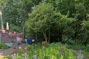 50 Mount Pleasant, Amherst, MA 01002 - Photo 1