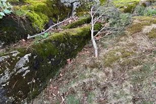 8 South Terrace, Auburn, MA 01501 - Photo 34