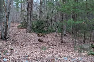 508 Old County Rd, Wales, MA 01081 - Photo 34