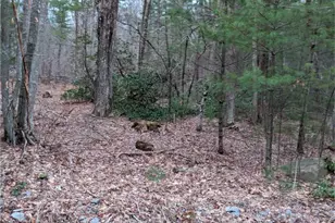 508 Old County Rd, Wales, MA 01081 - Photo 34