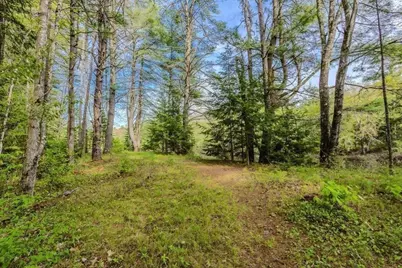 9 Roberts Lane, Porter, ME 04068 - Photo 24