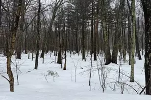 123 Peterson Rd, Palmer, MA 01069 - Photo 1