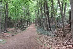 178 Beethoven Ave, Newton, MA 02468 - Photo 20