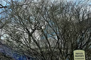 155 Kilsyth Rd, Boston, MA 02135 - Photo 32