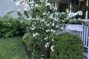 8 Snowberry Lane, Sudbury, MA 01776 - Photo 36