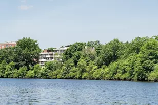 231 Coolidge Ave, Watertown, MA 02472 - Photo 30