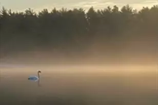 7 Crane Landing Rd, Wareham, MA 02571 - Photo 36