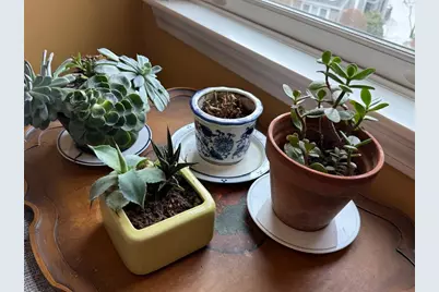 184 Bishops Forest Dr #184, Waltham, MA 02452 - Photo 12