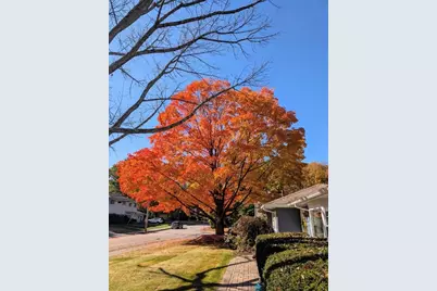 3 Oxbow Rd, Natick, MA 01760 - Photo 26